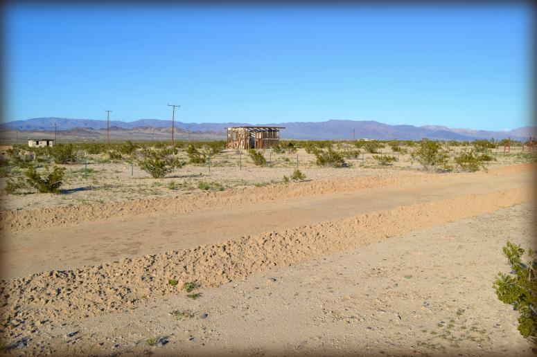 Twentynine Palms Land For Sale